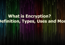 What is Encryption? Definition, Types, Uses and More