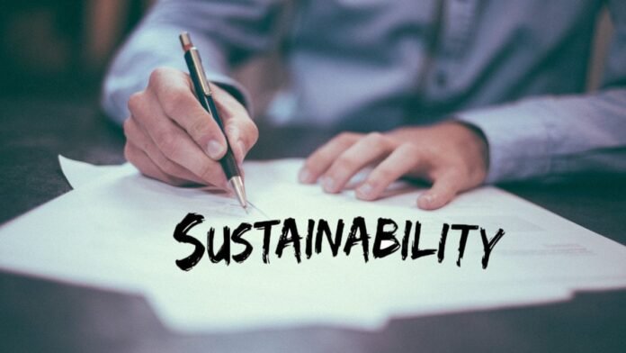 Sustainability: Definition and Why Is It Important with Practical Recommendations